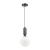 Светильник подвесной 4668/1 Odeon Light Черный