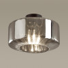 Светильник потолочный 4746/1C Odeon Light Черный