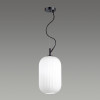 Светильник подвесной 4751/1 Odeon Light Черный
