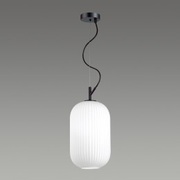 Светильник подвесной 4751/1 Odeon Light Черный