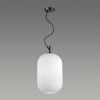 Светильник подвесной 4752/1 Odeon Light Черный