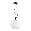 Светильник подвесной 4753/1 Odeon Light Черный