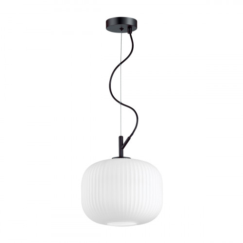 Светильник подвесной 4753/1 Odeon Light Черный