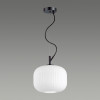 Светильник подвесной 4753/1 Odeon Light Черный