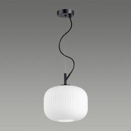 Светильник подвесной 4753/1 Odeon Light Черный