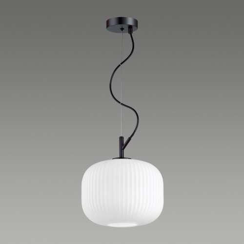 Светильник подвесной 4753/1 Odeon Light Черный