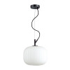 Светильник подвесной 4753/1 Odeon Light Черный