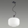 Светильник подвесной 4754/1 Odeon Light Черный