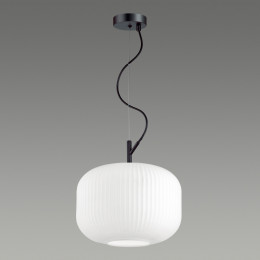 Светильник подвесной 4754/1 Odeon Light Черный