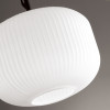 Светильник подвесной 4754/1 Odeon Light Черный