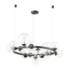 Люстра 4818/14 Odeon Light Черный