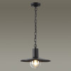 Светильник уличный 4833/1 Odeon Light Черный