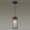 Светильник уличный 4834/1 Odeon Light Черный