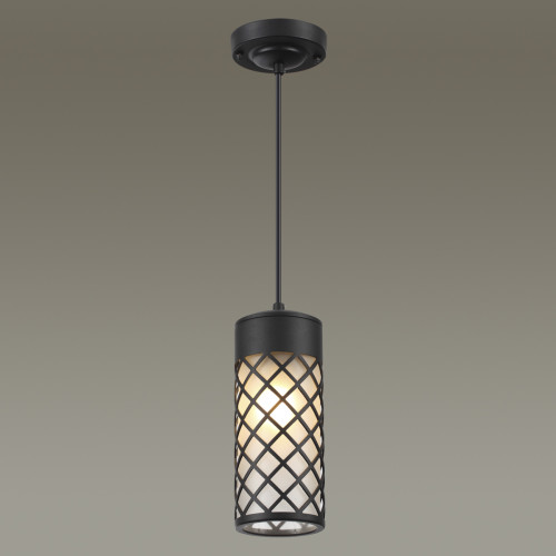 Светильник уличный 4834/1 Odeon Light Черный