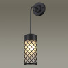Светильник настенный 4834/1W Odeon Light Черный