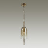 Светильник подвесной 4892/1 Odeon Light Exclusive Бронзовый