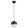Светильник подвесной 4958/1 Odeon Light Черный