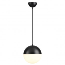 Светильник подвесной 4958/1A Odeon Light Черный