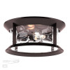 Светильник потолочный 4961/2C Odeon Light Коричневый
