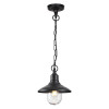 Светильник подвесной 4965/1 Odeon Light Черный