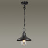 Светильник подвесной 4965/1 Odeon Light Черный