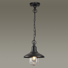 Светильник подвесной 4965/1 Odeon Light Черный