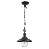 Светильник подвесной 4965/1 Odeon Light Черный