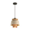 Светильник подвесной 4992/1 Odeon Light Черный