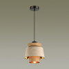 Светильник подвесной 4992/1 Odeon Light Черный