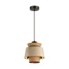 Светильник подвесной 4992/1 Odeon Light Черный