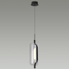 Светильник подвесной 5003/10L Odeon Light Черный