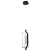 Светильник подвесной 5003/10L Odeon Light Черный