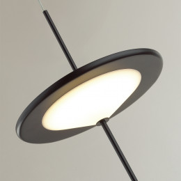 Светильник подвесной 5012/10L Odeon Light Черный