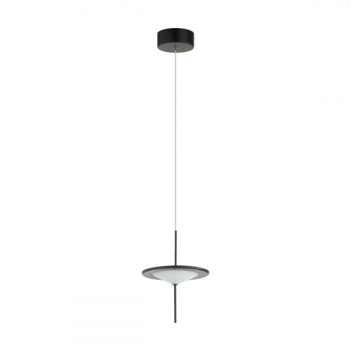 Светильник подвесной 5012/10L Odeon Light Черный