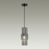 Светильник подвесной 5016/1 Odeon Light Черный