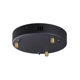 Светильник потолочный 5041/3R Odeon Light Черный