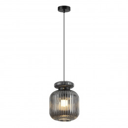 Светильник подвесной 5042/1B Odeon Light Черный