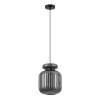 Светильник подвесной 5042/1B Odeon Light Черный