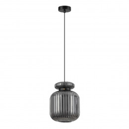 Светильник подвесной 5042/1B Odeon Light Черный