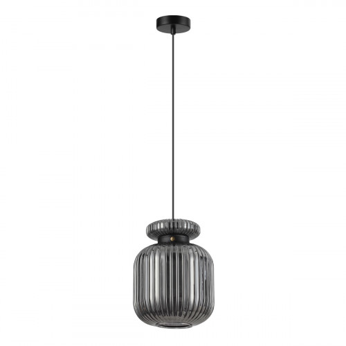 Светильник подвесной 5042/1B Odeon Light Черный