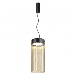 Светильник подвесной 5047/10L Odeon Light Черный