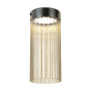 Светильник потолочный 5047/10LC Odeon Light Черный