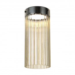 Светильник потолочный 5047/10LC Odeon Light Черный