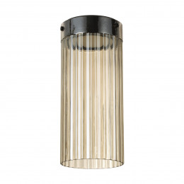 Светильник потолочный 5047/10LC Odeon Light Черный