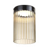 Светильник потолочный 5047/15LC Odeon Light Черный