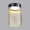 Светильник потолочный 5047/15LC Odeon Light Черный