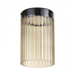Светильник потолочный 5047/15LC Odeon Light Черный