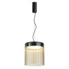 Светильник подвесной 5047/20L Odeon Light Черный