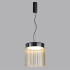 Светильник подвесной 5047/20L Odeon Light Черный