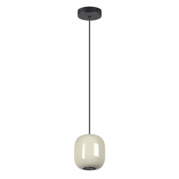 Светильник подвесной 5053/1A Odeon Light Черный